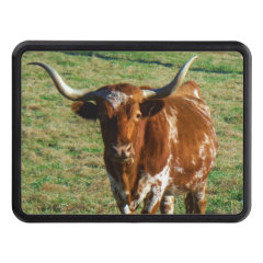 Brown and White Longhorn Bull Tow Hitch Cover
