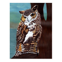 Brown and White Owl Postcard