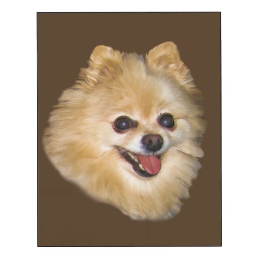 white and brown pomeranian brown and white pomeranian customizable wood wall zazzle white and brown pomeranian brown and white pomeranian customizable wood wall zazzle