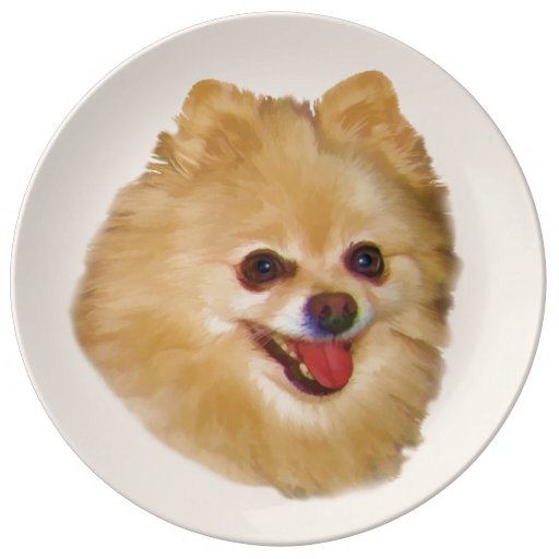 white and brown pomeranian dogs brown and white pomeranian porcelain plates zazzle white and brown pomeranian dogs brown and white pomeranian porcelain plates zazzle