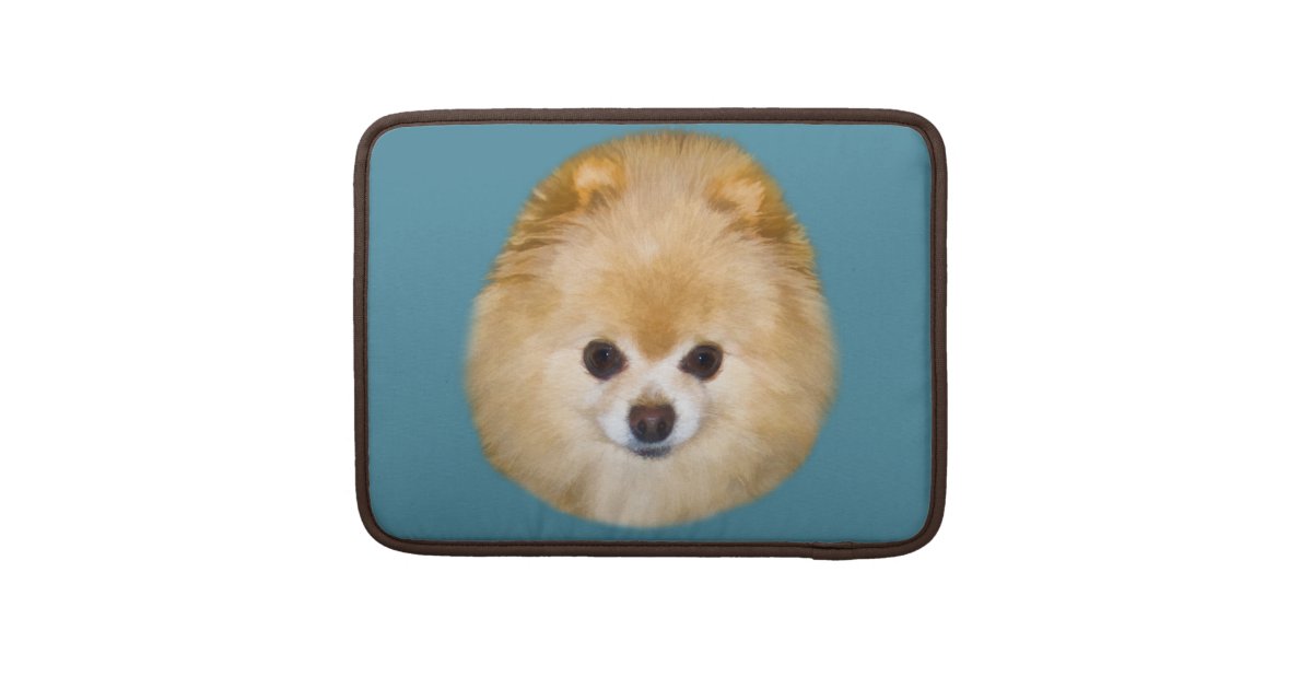 brown and white pomeranian brown and white pomeranian sleeve for macbooks zazzle brown and white pomeranian brown and white pomeranian sleeve for macbooks zazzle