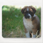 brown and white puppy mouse pads