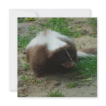 Brown and White Skunk Invitation