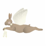 Brown Angel Rabbit With Yellow Wings
