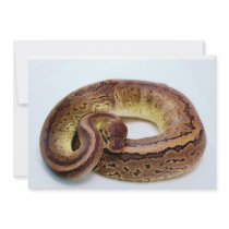 Brown Ball Python Personalized Invitation