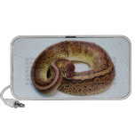 Brown Ball Python Notebook Speakers