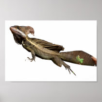Brown Basilisk Poster
