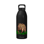 Brown Bear bottle water bottles