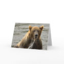 BROWN BEAR CARD by pwuebker BROWN BEAR CARD