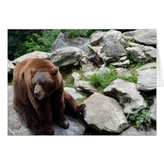 Brown Bear Card card