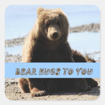 Brown Bear cub hugs to you sticker