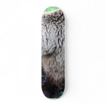 Brown Bear Eating Fish skateboards by lifesphere Brown Bear Eating Fish skateboards