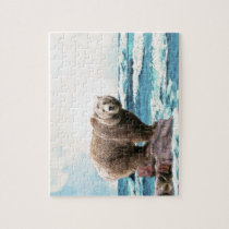 Brown Bear Explores the Ocean! Puzzle