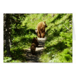 Brown Bear Family Card