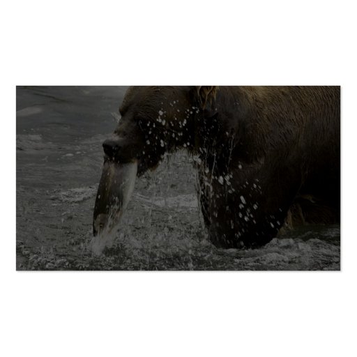 Brown bear feeding on salmon business card (back side)
