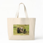 Brown Bear Fun bags