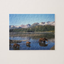 Brown bear, grizzly bear, sow and cubs in puzzle