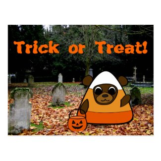 Brown Bear in Candy Corn Costume in a Graveyard Postcard