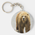 Brown bear key chains
