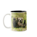 Brown_Bear_Kodiak_Bears Lovers mugs