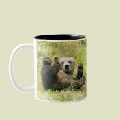 Brown_Bear_Kodiak_Bears Lovers