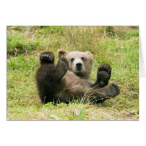Brown_Bear_Kodiak_Cub cards by WildByDezign Brown_Bear_Kodiak_Cub cards