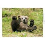 Brown_Bear_Kodiak_Cub Greeting Card