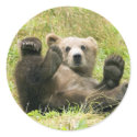 Brown Bear Kodiak Cub Gifts stickers