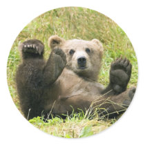Brown Bear Kodiak Cub Gifts stickers by WildByDezign Brown Bear Kodiak Cub Gifts stickers
