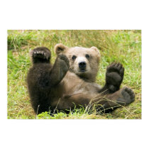 Brown_Bear_Kodiak_Cub_NWR posters