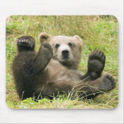 Brown_Bear_Kodiak_NWR Gifts