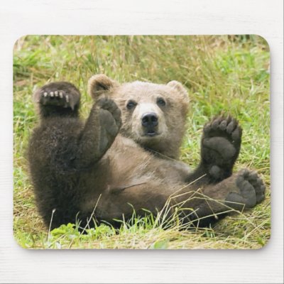 Brown_Bear_Kodiak_NWR Gifts Mouse Mats by WildByDezign