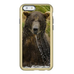 Brown bear, male, fishing for salmon incipio feather® shine iPhone 6 case