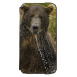 Brown bear, male, fishing for salmon iPhone 6/6s wallet case