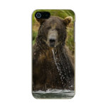 Brown bear, male, fishing for salmon metallic phone case for iPhone SE/5/5s