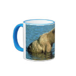 Brown Bear Coffee Mugs Brown Bear Coffee Mugs