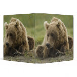 Brown bear, or Coastal Grizzly Bear, Ursus Vinyl Binders