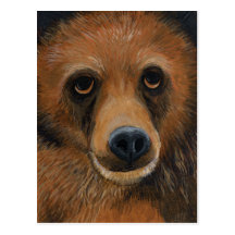 Brown Bear Postcard