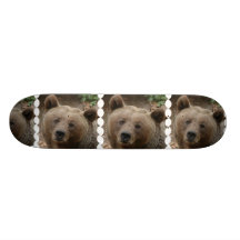 Brown Bear Skateboard