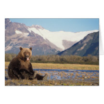 brown bear, Ursus arctos, grizzly bear, Ursus 5 Greeting Card