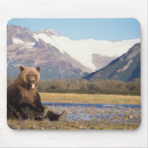brown bear, Ursus arctos, grizzly bear, Ursus 5 Mouse Pads