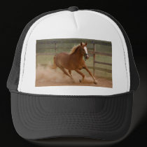 Brown Beauty Hat