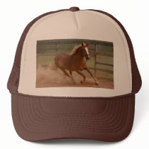 Brown Beauty Hat by skphotos Brown Beauty Hat