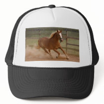 Brown Beauty Hat by skphotos Brown Beauty Hat