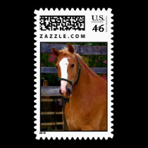 Brown Beauty II Postage Stamp