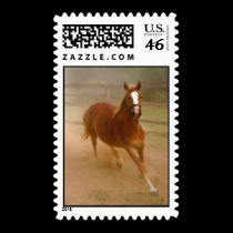 Brown Beauty III Postage Stamp