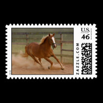 Brown Beauty Postage Stamp