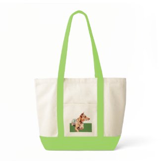 Brown Bertha Bag bag