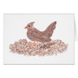 Brown Bird Cards Brown Bird Cards