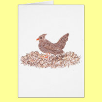 Brown Bird cards